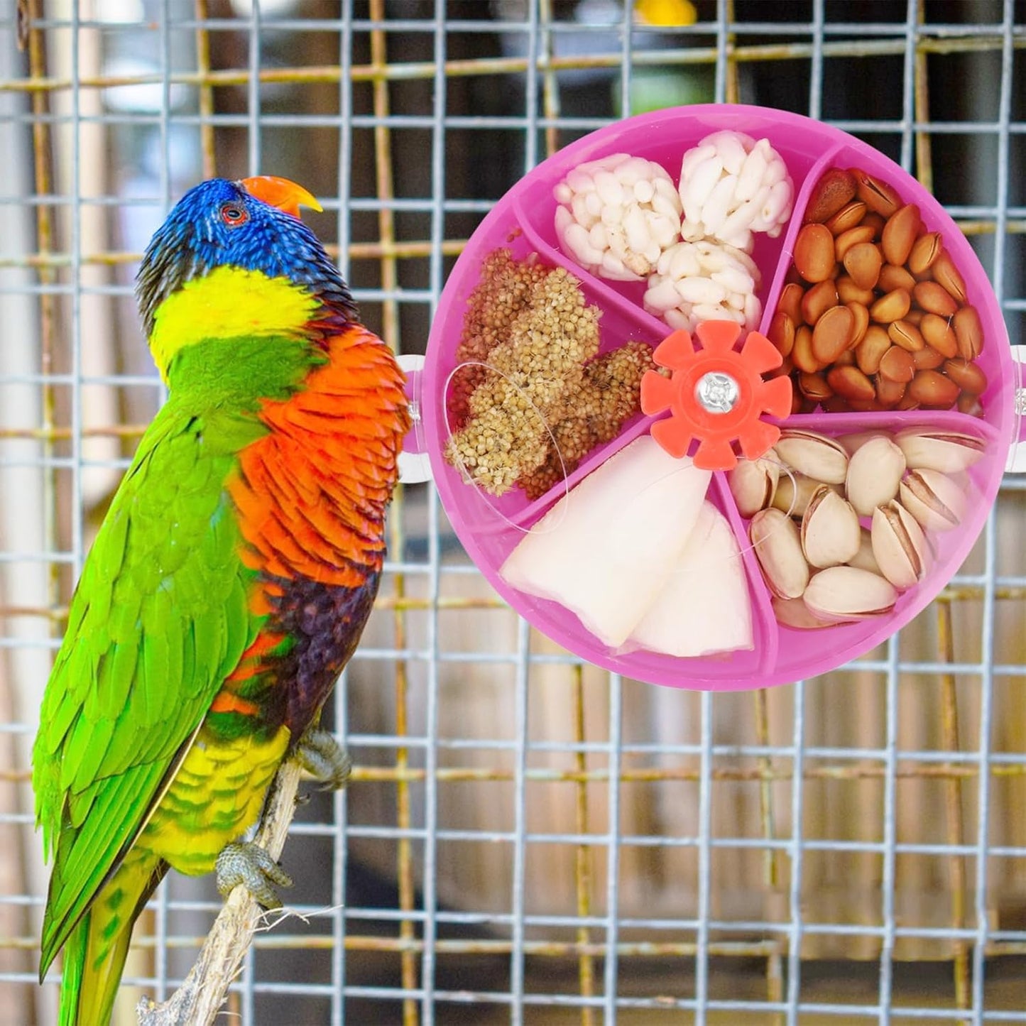 Bird Creative Foraging System Wheel Seed Food Ball Rotate Training Toy for Small and Medium Parrots Parakeet Cockatiel Conure (Purple)