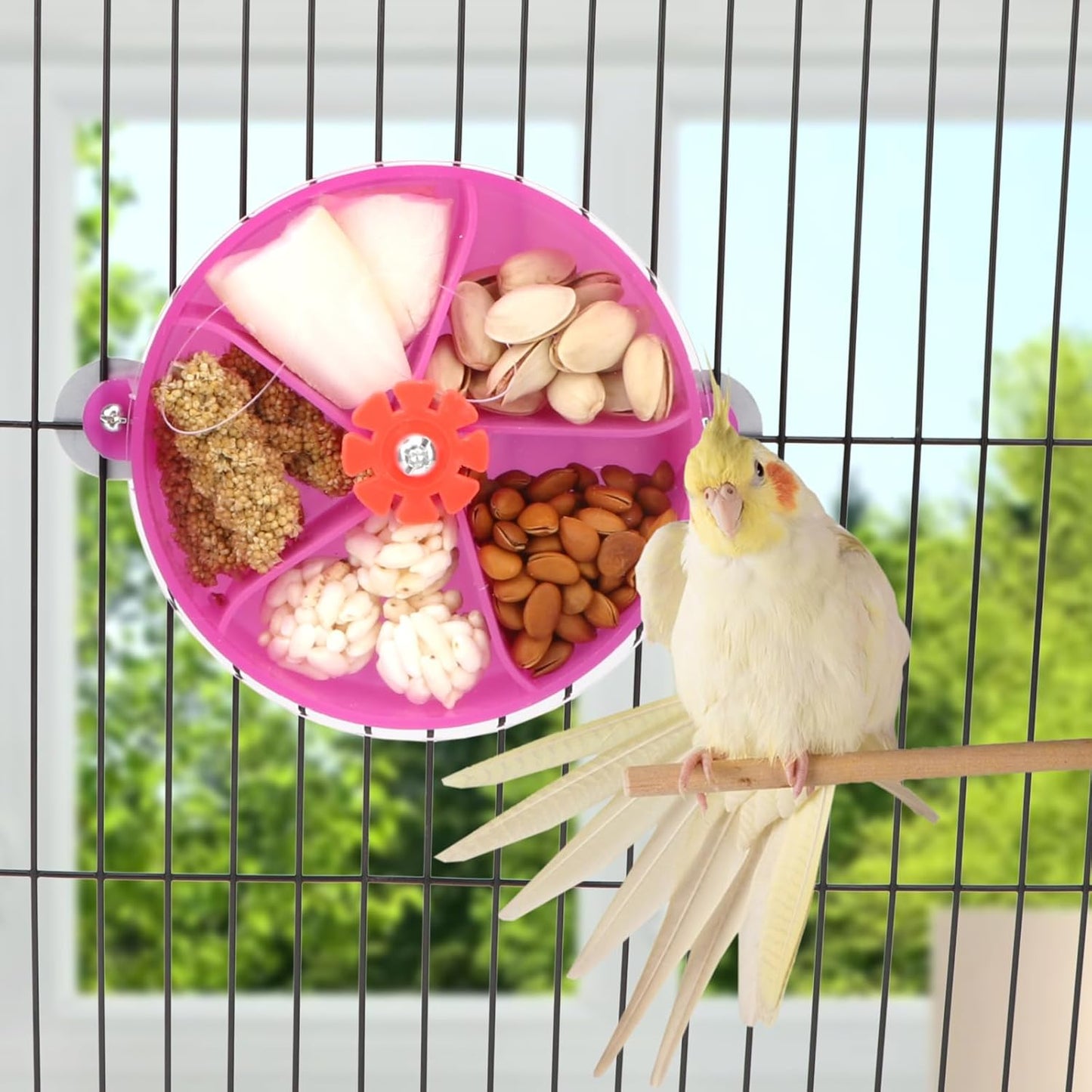 Bird Creative Foraging System Wheel Seed Food Ball Rotate Training Toy for Small and Medium Parrots Parakeet Cockatiel Conure (Purple)