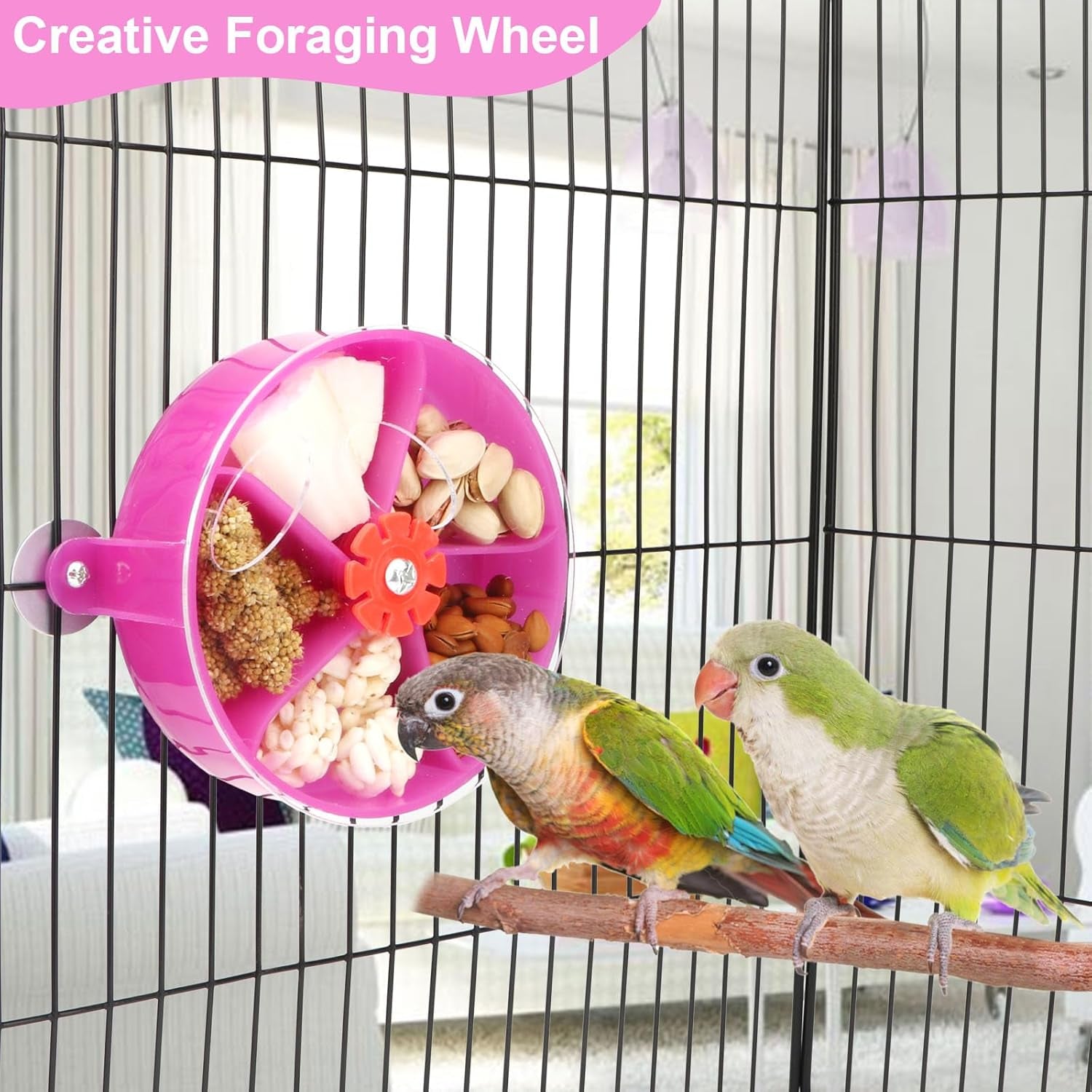 Bird Creative Foraging System Wheel Seed Food Ball Rotate Training Toy for Small and Medium Parrots Parakeet Cockatiel Conure (Purple)